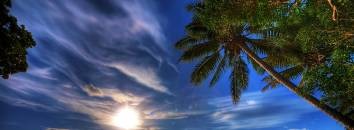 Pellentesque habitant morbi